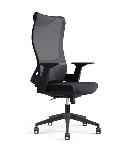 EayThing WaveFlex High Back Ergonomic Office Chair