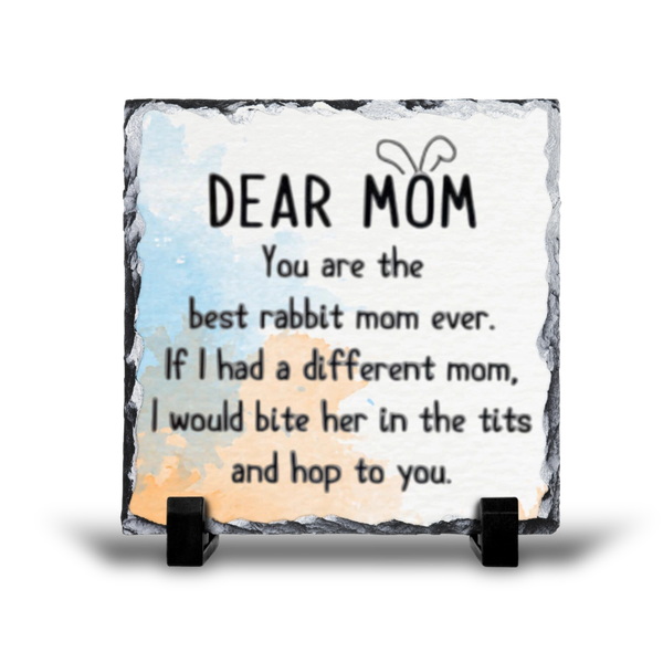 You're The Best Rabbit Mom Ever Gift Rock Slate