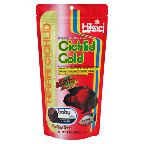 Hikari Cichlid Gold Baby - 250g
