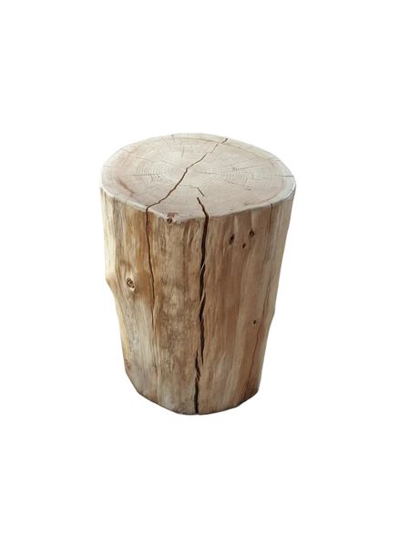 Wood Stump Coffee/Side Table