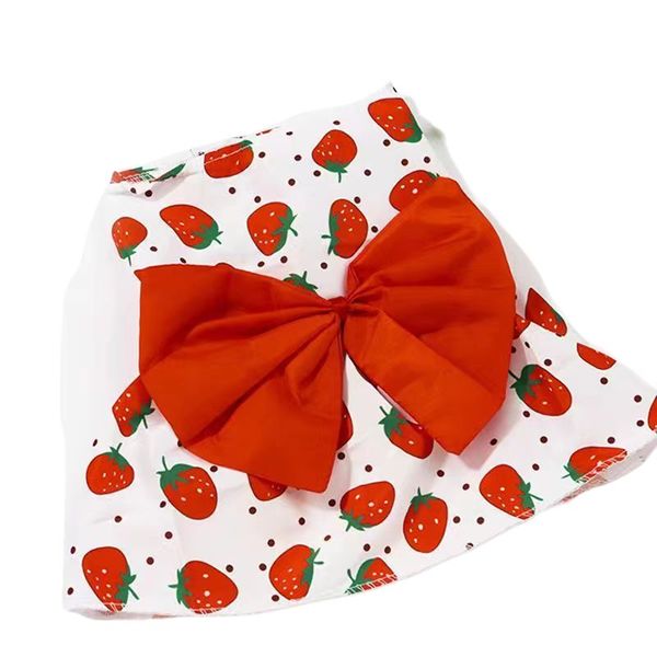 Red strawberry, pink floral princess style small dog skirt cute in summer