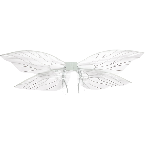 Dress Up Fairy Wings