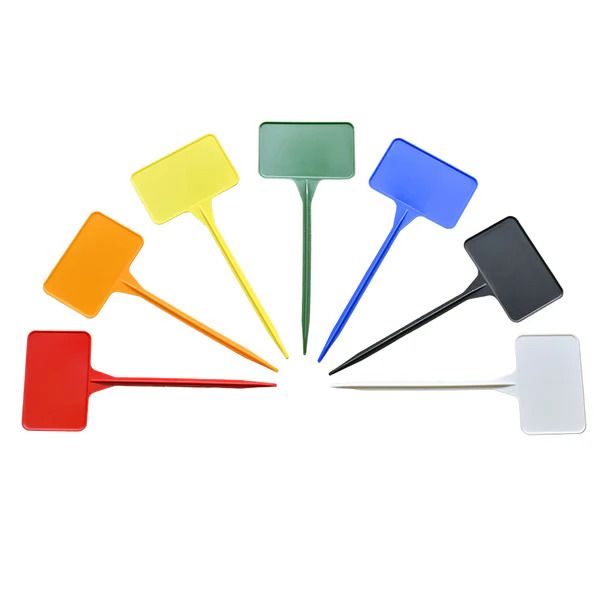 Rainbow T Labels Assorted Colours (175mm)
