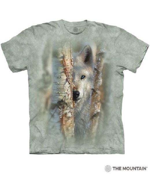 Focused - The Mountain