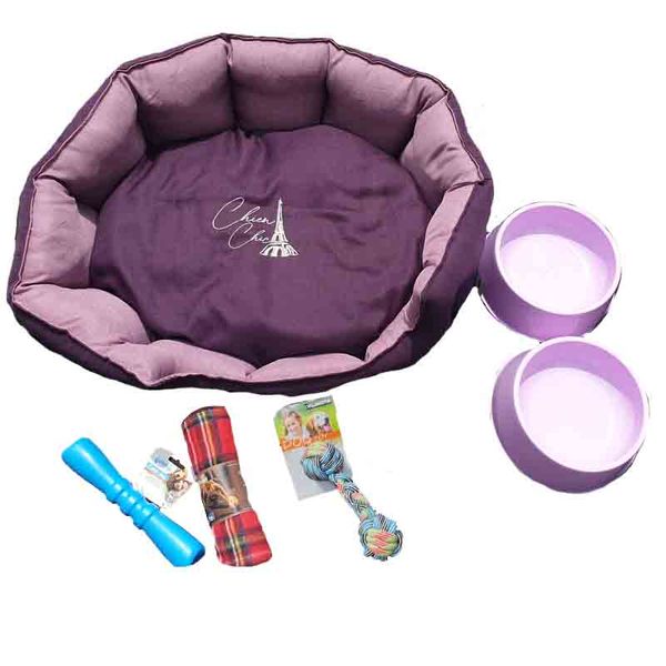 Puppy Starter Kit - Pink &amp; Purple Colour