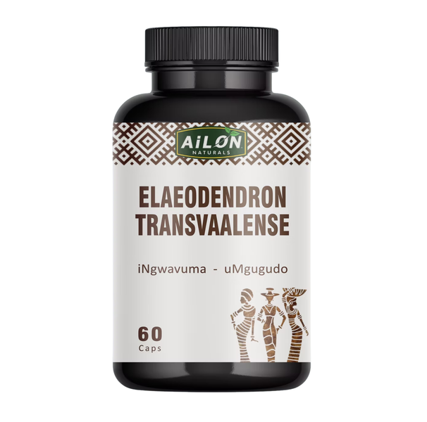 Elaeodendron Transvaalensis Herbal Capsules 60 Caps -Health &amp; Wellness