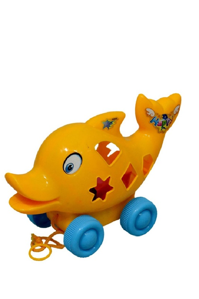 Pull Along Fish Blocks