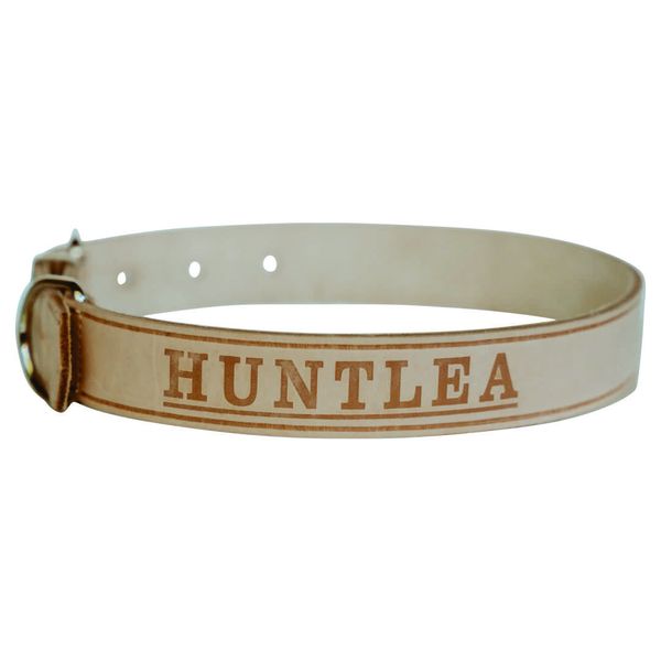 Huntlea - Plain Leather Collar