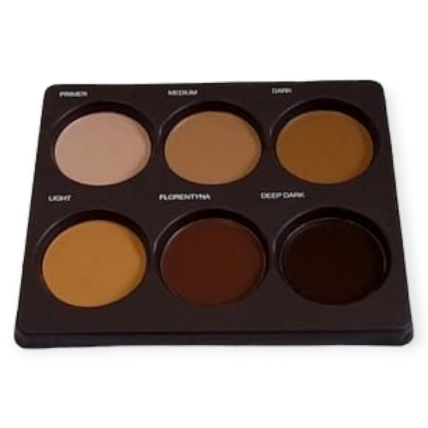 6 Shades Face Makeup Concealer Palette