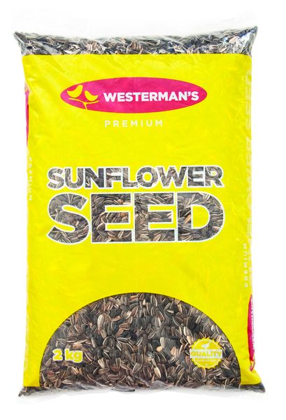 Westermans Striped Sunflower