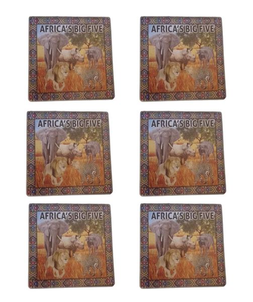Big Five Glass Coasters - Set of 6
