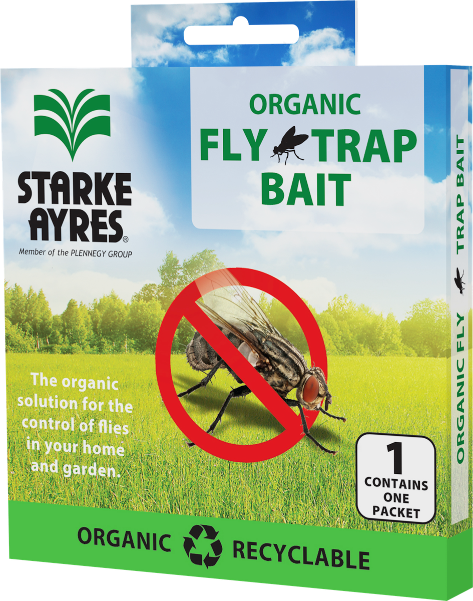 Window Fly Trap - Starke Ayres GC