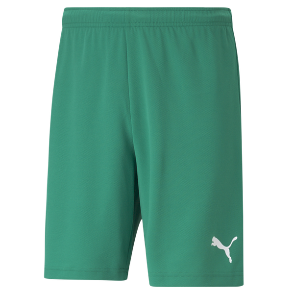 Puma Men's Teamrise Soccer Shorts