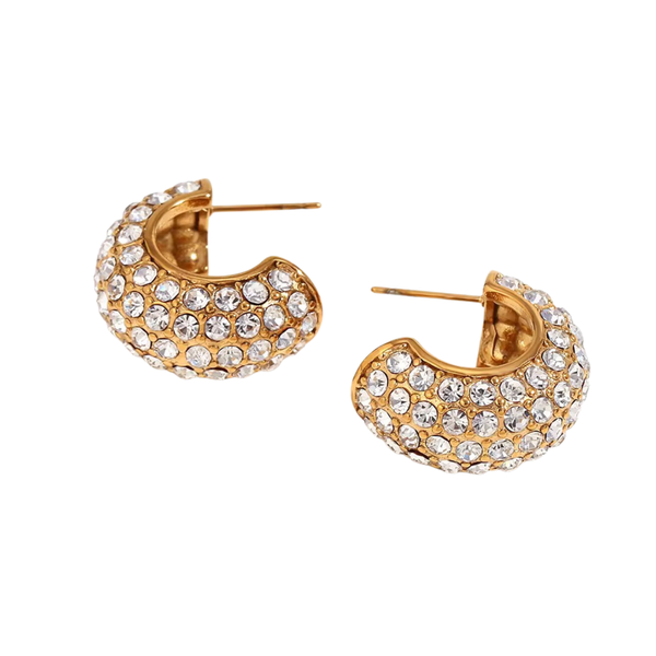 Scotti Gold Plated Stainless Steel Diamante Stud Earrings