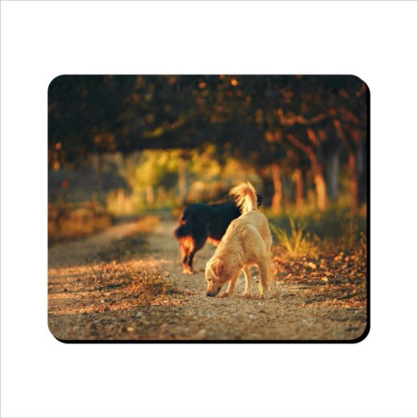 Mouse Pad - Dogs On Road