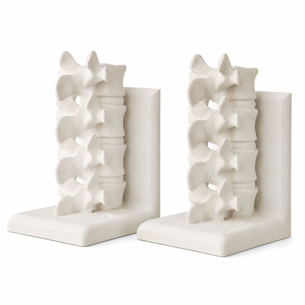 KODA Print Studio Spine Bookend Set - Anatomical Decorative Book Ends