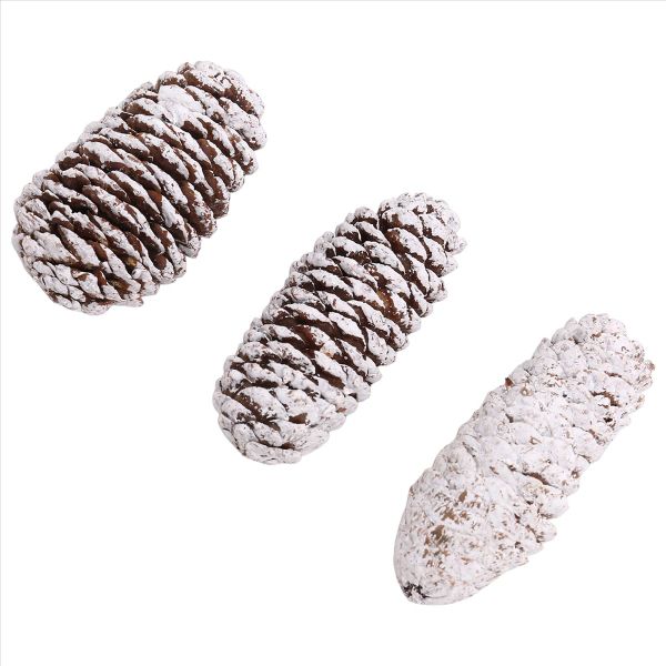 20 PCS Pine Cones Decorations, Natural Snow Pine Cones Large Pine Cones Chr