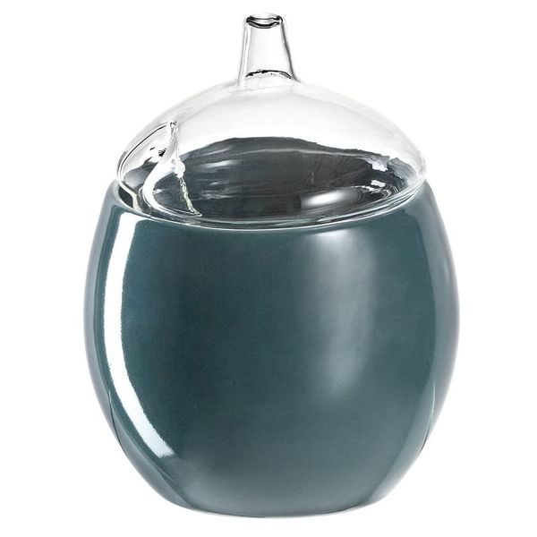 Leonardo Olive Container: Green Ceramic with Transparent Glass Lid Glass
