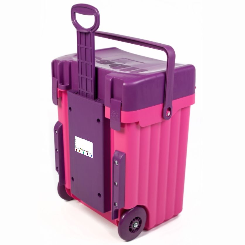 Cadii Bag - CSB-3X1X - Pink Body and Purple Trim | Shop Today. Get it ...