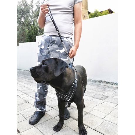 Swat dog outlet harness