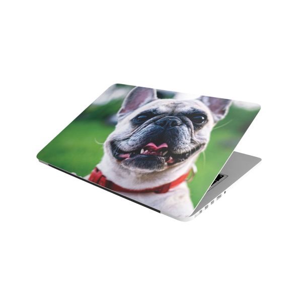 Laptop Skin/Sticker - Pug Looking