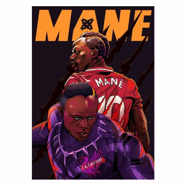 Panda Mane Abstract - A1 Poster