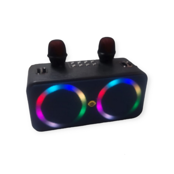 M101 Portable Bluetooth Karaoke Speaker With Dual Microphones 20W