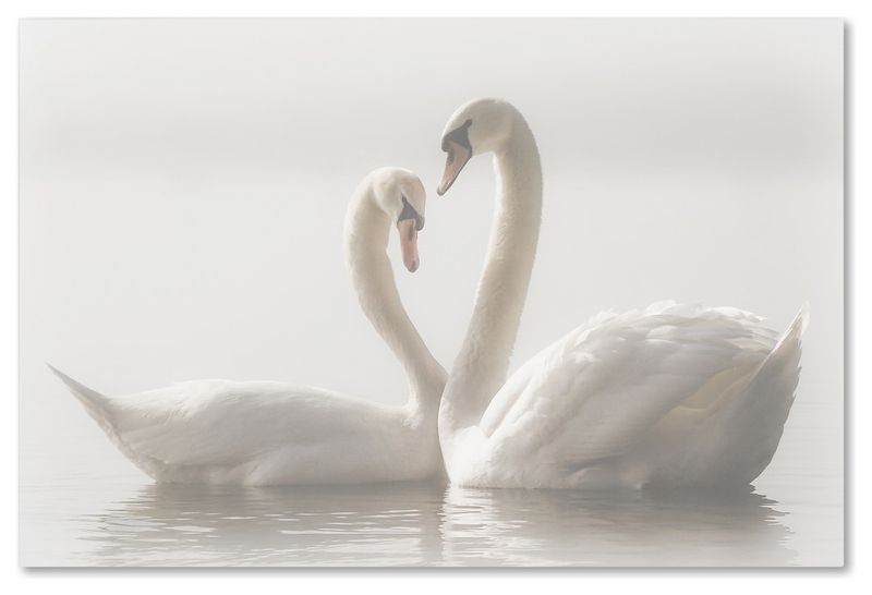 workART Curated Photographic Canvas - Released by Monika Schwager