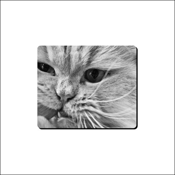 Mouse Pad - Cat Chew