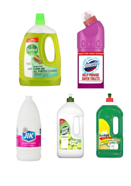 Cleaning Essentials Combo
