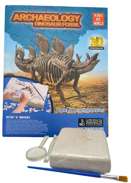 3D Dinosaur Skeleton Fossil Bones Excavation Kit - Stegosaurus