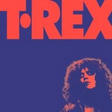 The Alternative Singles Collection (CD / Album)