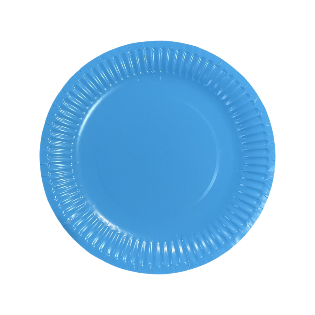 Party Plates (10) | Shop Today. Get it Tomorrow! | takealot.com