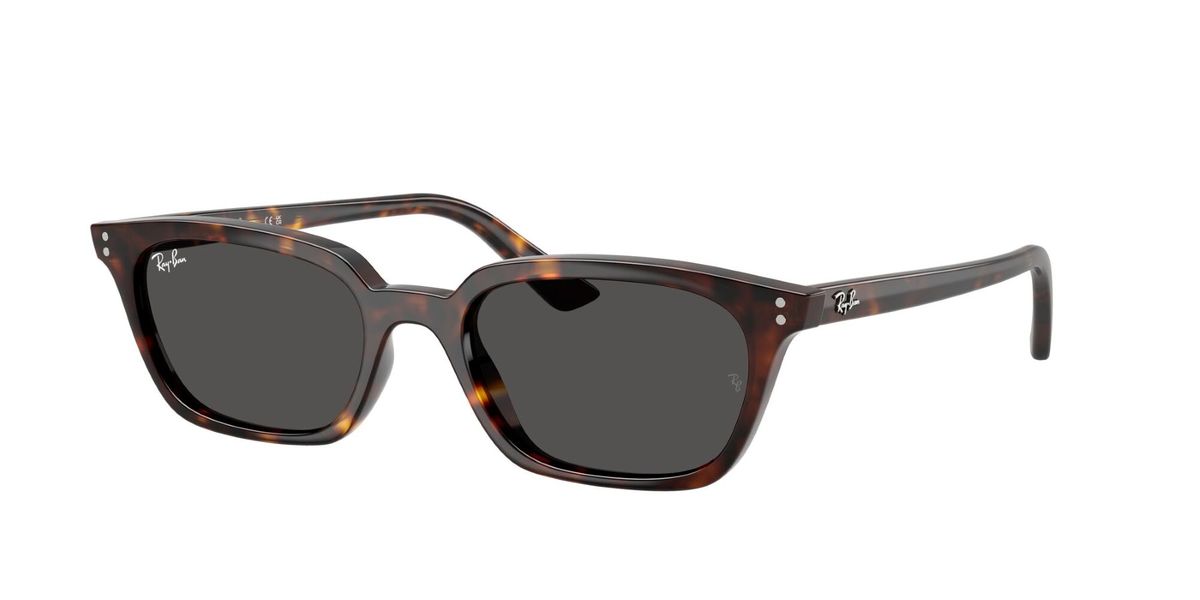 Ray-Ban - Unisex Zaya Sunglasses | Shop Today. Get it Tomorrow