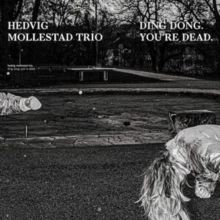 Ding Dong. You're Dead (CD / Album)