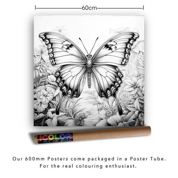 iColor Large Colouring Poster FLUTTERING OASIS