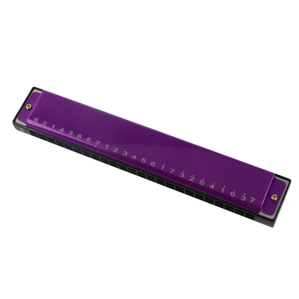 24 Hole Diatonic Harmonica Key of C, Compatible with Blues Folk Jazz