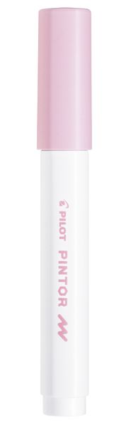 Pilot SW-PT Fine Point Pintor Paint Marker - Box of 6 - Pastel Pink