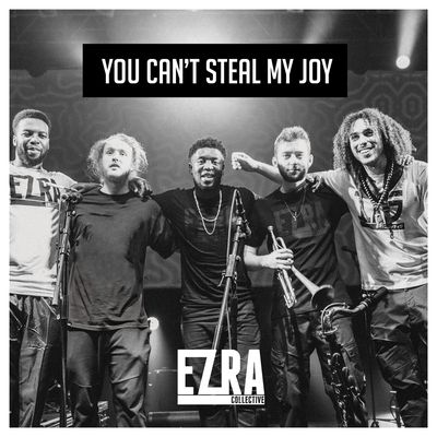 You Can't Steal My Joy (Vinyl / 12" Album)