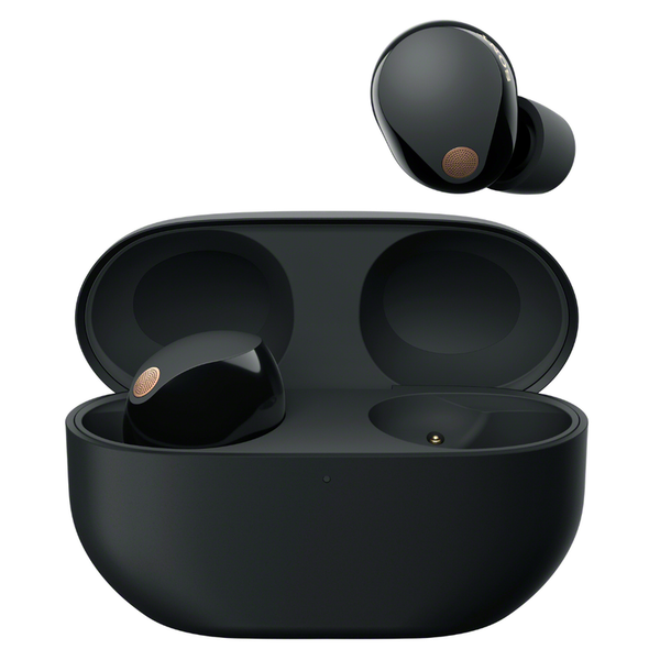Sony WF-1000XM5 Premium True Wireless Earphones