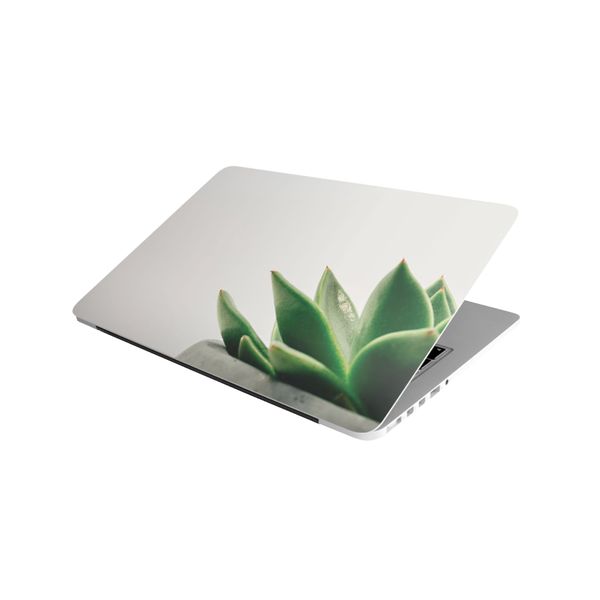 Laptop Skin/Sticker - Succulent
