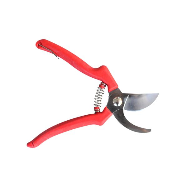 Carpa Professional Pruning Shear 46H21