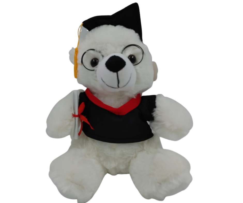 teddy bear takealot