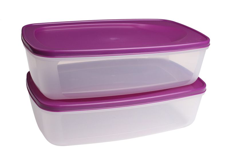 Gizmo 2.5 Litre Food Storage Container - Set of 2