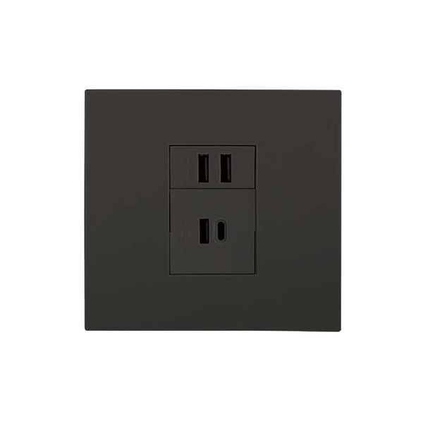 ACDC - 2x 2.1a Usb Charger Socket Outlet 4x4 Black Orion