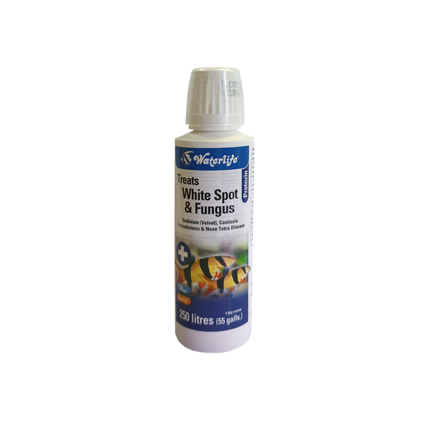 Waterlife Protozin Treats White Spot and Fungus 100ml