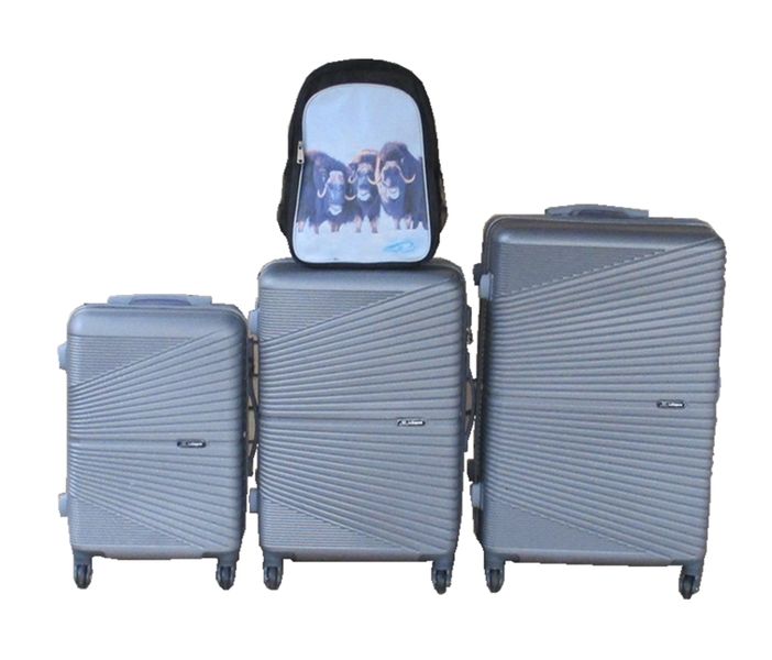 Silver ABS 3-Piece Trolley Luggage Set with Buffalo Kids School Bag