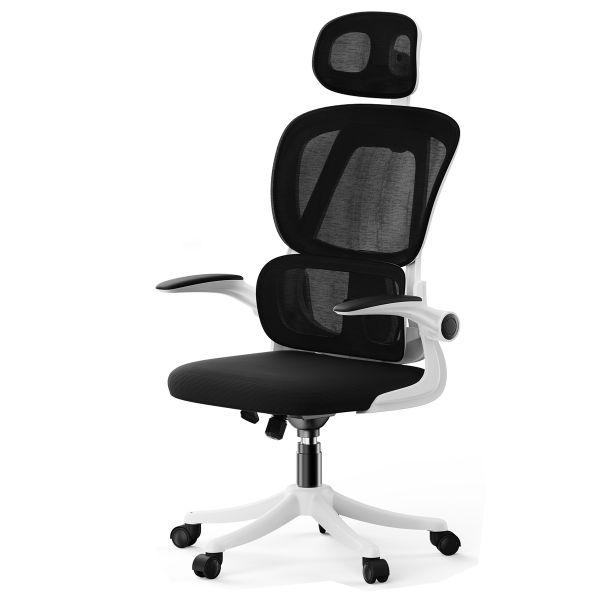 Executive Chair,Ergonomic Office Chair with Adjustable Lumbar Support-White