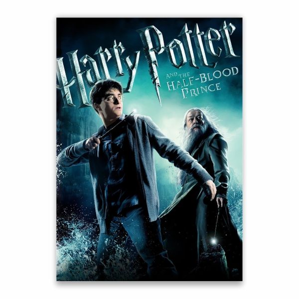 Harry Potter And The Half-Blood Prince Harry And Dumbledore Poster - A1