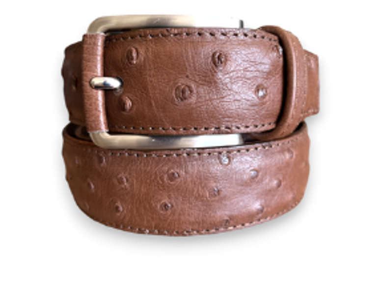 JJ -Men's Luxury Genuine Ostrich Leather Men's Belt Brown